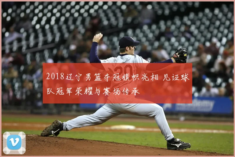2018辽宁男篮夺冠旗帜亮相 见证球队冠军荣耀与赛场传承